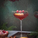 holiday drink gin fizz