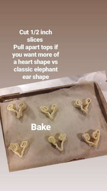 palmier shapes