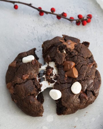 hot chocolate cookies