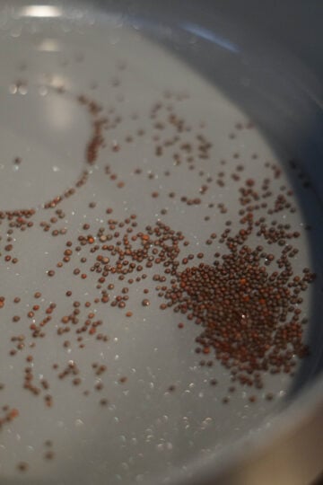 mustard seeds in oil