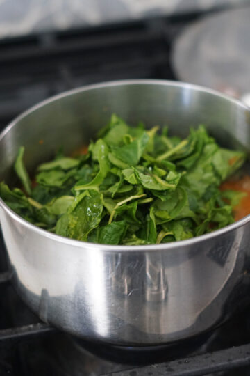 Spinach in pot