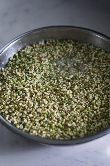 Soaked moong dal in a steel bowl.