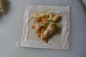 Paneer momo filling on a wonton wrapper