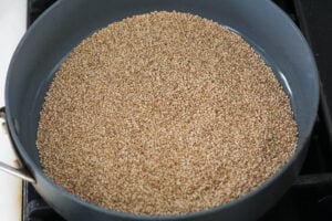 Toasted sesame seeds in a nonstick pan.