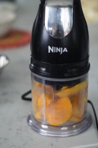Mango pieces in a Ninja blender.