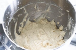 Mixed gulab jamun cake batter.