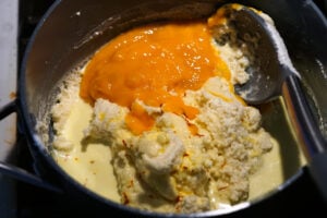 Mango pulp added to mixture.