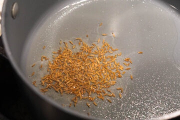 Oil in cumin seeds in a pan.