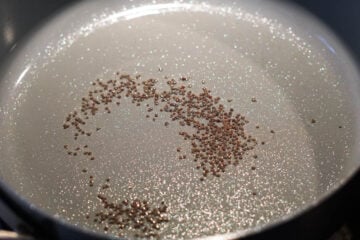 Mustard seeds in oil in a pan.