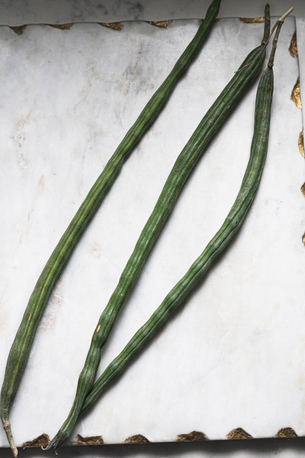 Saragva Indian Drumstick - Saragva Nu Shaak - Some Indian Girl