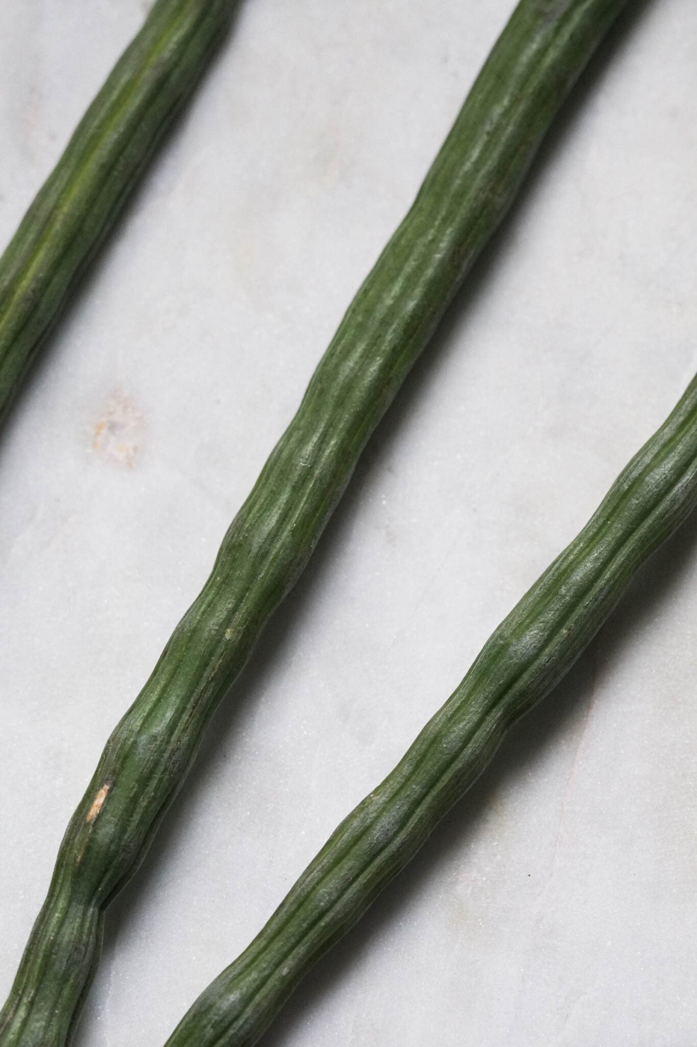 Saragva Indian Drumstick - Saragva Nu Shaak - Some Indian Girl