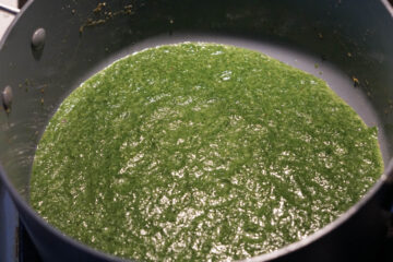 Spinach puree in pot.