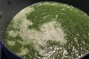 Spinach puree with vegetable stock and milk added.