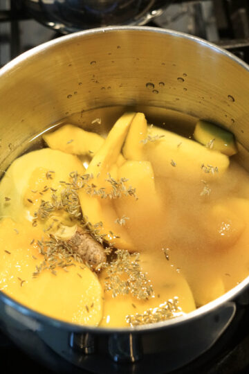 Mango and spices in water.