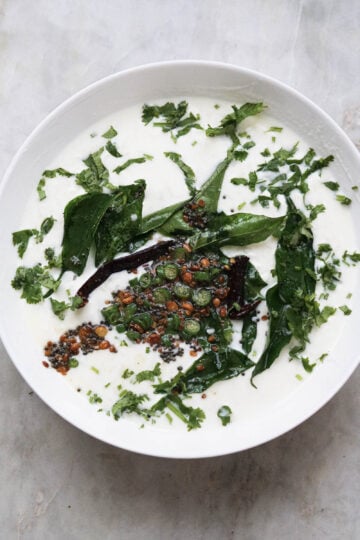 Curd rice topped with a tadka of curry leaves, dals, spices and cilantro leaves.