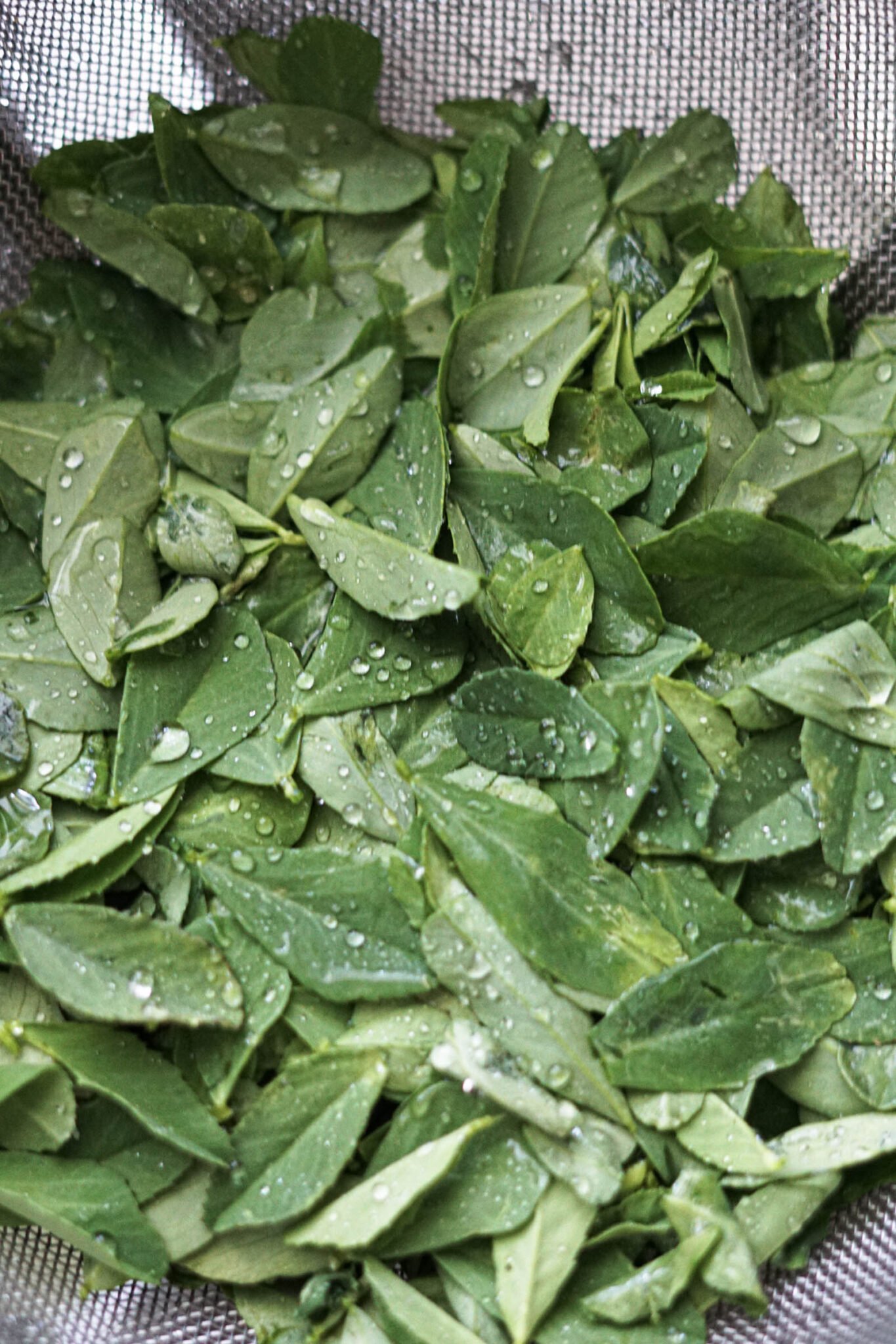 Best Fenugreek Substitute (Leaves, Seeds, Kasoori Methi) Some Indian Girl