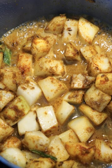 Water added to potato spice mixture in pot.