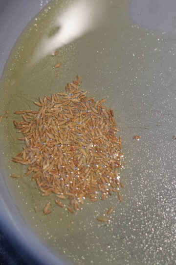 Cumin seeds in oil for a tadka.