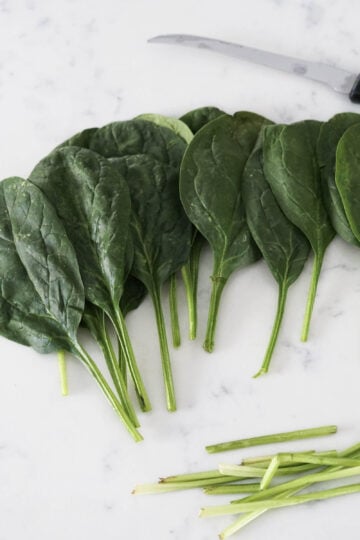Spinach leaves with long stems cut off.
